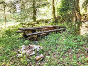 Une table de pique-nique au milieu d'une forêt.