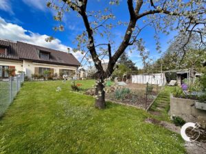 Un jardin animé avec des arbres en fleurs, une pelouse bien entretenue et un petit potager à côté d’une maison de banlieue sous un ciel dégagé.