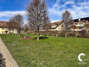 Parc résidentiel avec arbres dénudés, tables de pique-nique et sentier par temps ensoleillé.