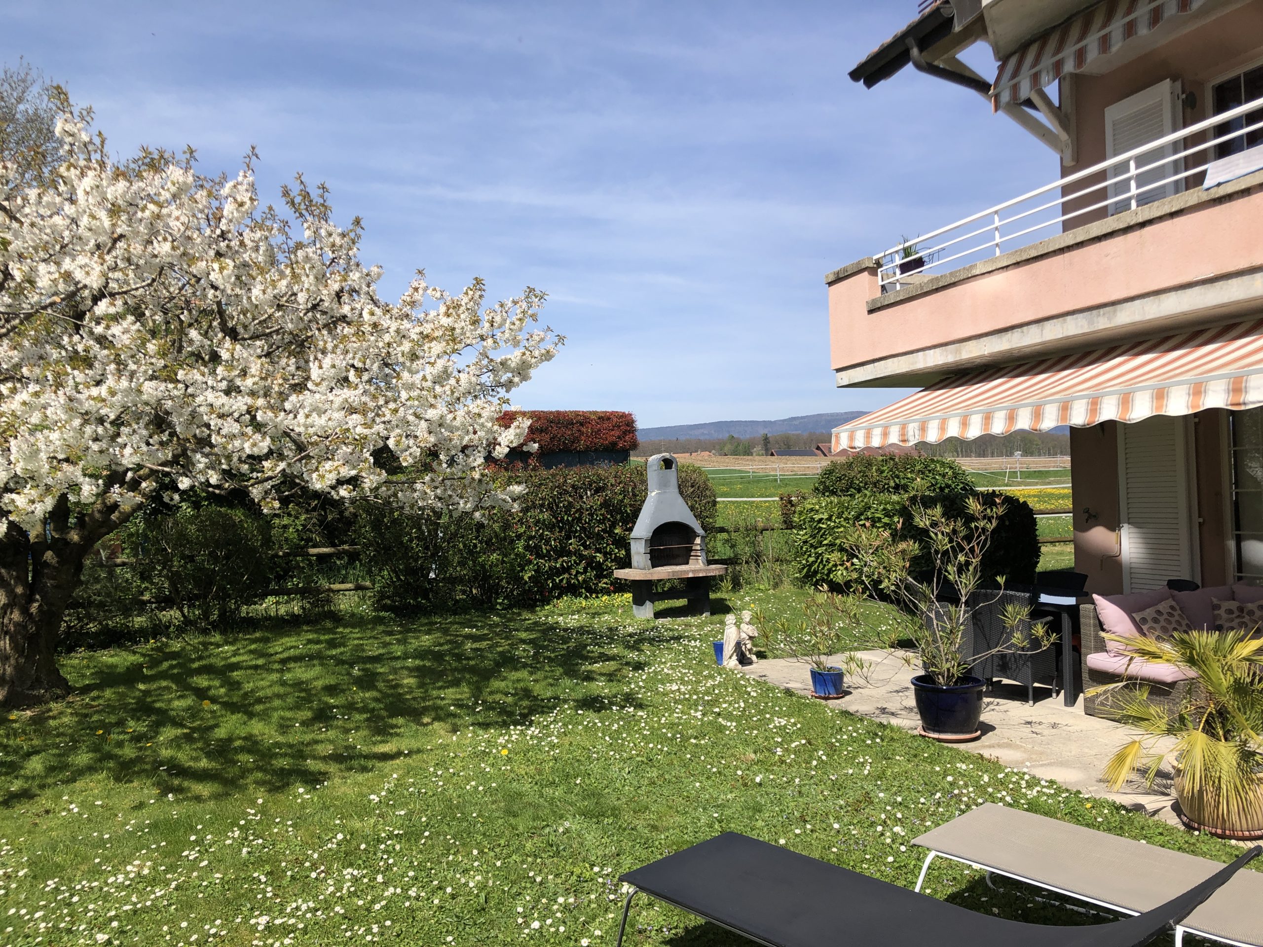 Une cour ensoleillée avec un arbre en fleurs, un barbecue et une maison avec un auvent rayé.