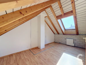 Bright attic space with exposed wooden rafters, a slanted ceiling, and a skylight letting in daylight.