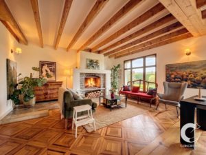 Cozy living room with exposed wooden beams, a lit fireplace, and lush plants by large windows.