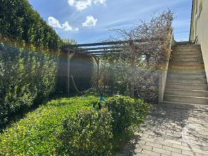 Sunlit backyard with a tall hedge on the left, a wooden pergola, a small blue bicycle, and a flight of stairs along a beige building.