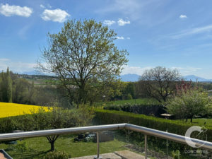 Balcony view of a sunny countryside with a large blossoming tree, a yellow field, hedges, and distant mountains.
