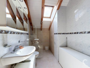 Narrow bathroom with slanted white ceiling and exposed wooden beams, skylight, mirrored vanity, white sink, toilet, and glass shower enclosure with decorative tile border.