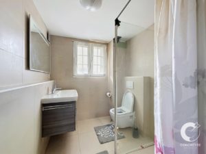 Modern bathroom with wall-mounted sink, dark vanity, toilet, and glass shower enclosure; neutral beige tiles and a small gray rug underfoot.